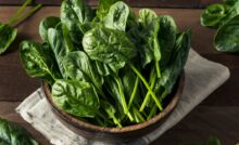 The Green You Shouldn’t Ignore