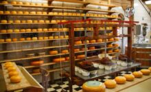 Cheese and Nightmares