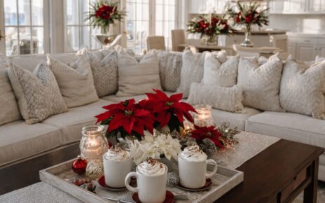 Christmas houseplants